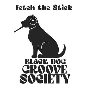 Fetch the Stick