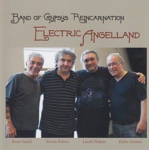 Electric Angelland
