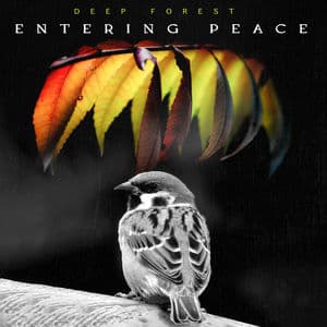 Entering Peace