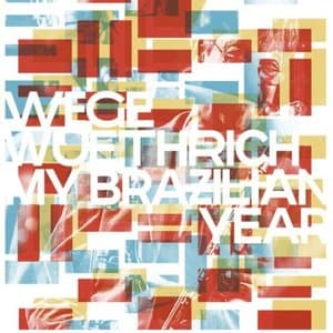 My Brazilian Year