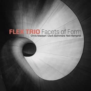 Facets of Form