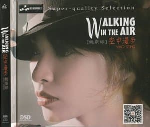 Walking In The Air