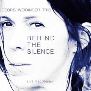 Behind the Silence