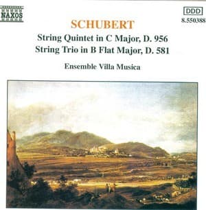 String Quintet & Trio