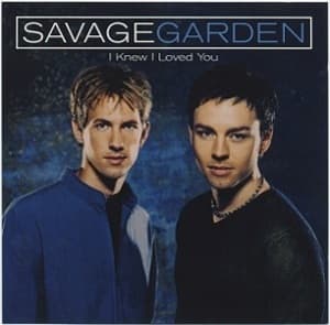 I Knew I Loved You