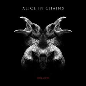 Hollow