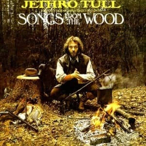 Songs From The Wood