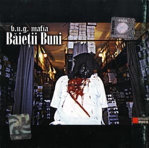 Baietii Buni