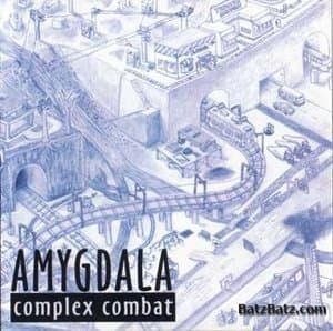 Complex Combat