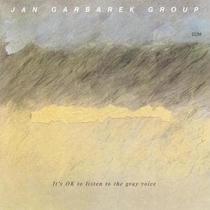 It's Ok To Listen To The Gray Voice