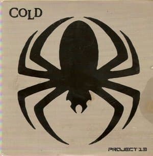 Project 13
