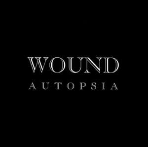 Wound