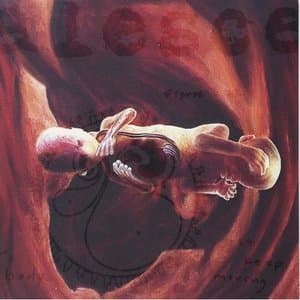 0 12 Revolution In Just Listening (1999)