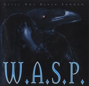 Still Not Black Enough (japan, Vicp 5560)