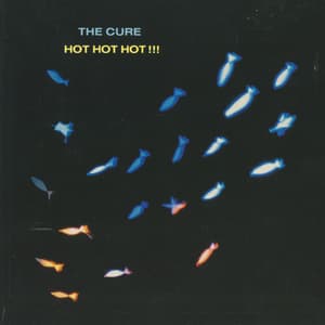 Hot Hot Hot !!! [CDS]