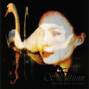 Si.vm E.t A.v.vm (2001 Mcd, 1-4); Infinita Plango Vulnera (1999, 5-14)