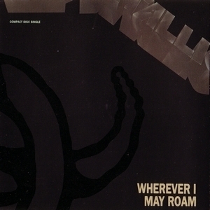 Wherever I May Roam [CDS]