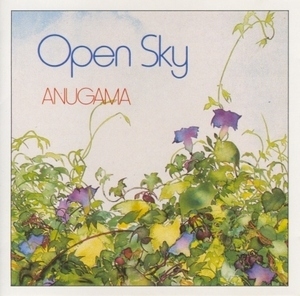 Open Sky