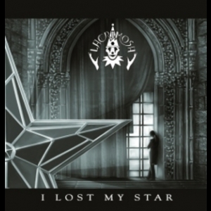 I Lost My Star