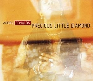 Precious Little Diamond [Single] [CDM]