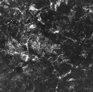 Execution Ground (disc 2)