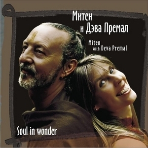 Soul In Wonder