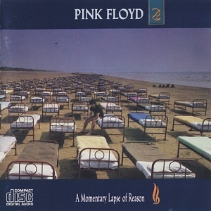 A Momentary Lapse Of Reason