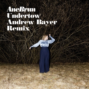 Undertow (Andrew Bayer Remix)