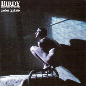 Birdy (OST)