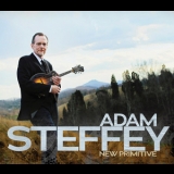 Adam Steffey - New Primitive '2013