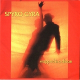 Spyro Gyra - Wrapped In A Dream '2006