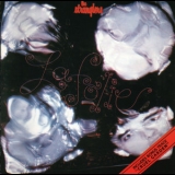 The Stranglers - La Folie '1981