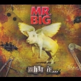 Mr. Big - What If '2011