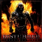 Disturbed - Indestructible '2008