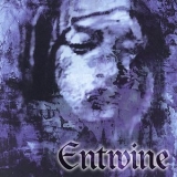 Entwine - The Treasures Within Hearts '1999 - Album