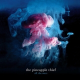 The Pineapple Thief - More Wars - The Acoustic Sessions '2012