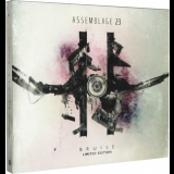Assemblage 23 - Bruise '2012