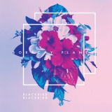 Blackbird Blackbird - Boracay Planet (Bonus Version) '2012