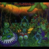Outolintu - Odd Man Out '2007