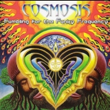 Cosmosis - Fumbling For The Funky Frequency '2009 - Album