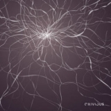 Exivious - Exivious '2009