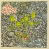 The Polyphonic Spree - Wait '2006