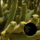 Luke Vibert - We Hear You '2009 - Album