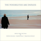 Edwyn Collins - The Possibilities Are Endless '2014