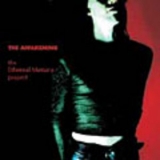 The Awakening - The Ethereal Menace Project '1999