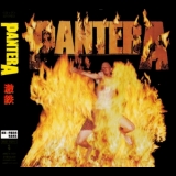 Pantera - Reinventing The Steel '2000