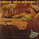 Roy Harper - Flat Baroque And Berserk '1970