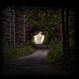 The Flashbulb - Love As A Dark Hallway '2011 - Album