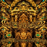 Heyoka - Whomp Gland & Pineal Dub '2008 - Album