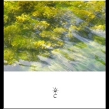 1000schoen - Amish Glamour (music For The Sixth Sense) '2008 - Album